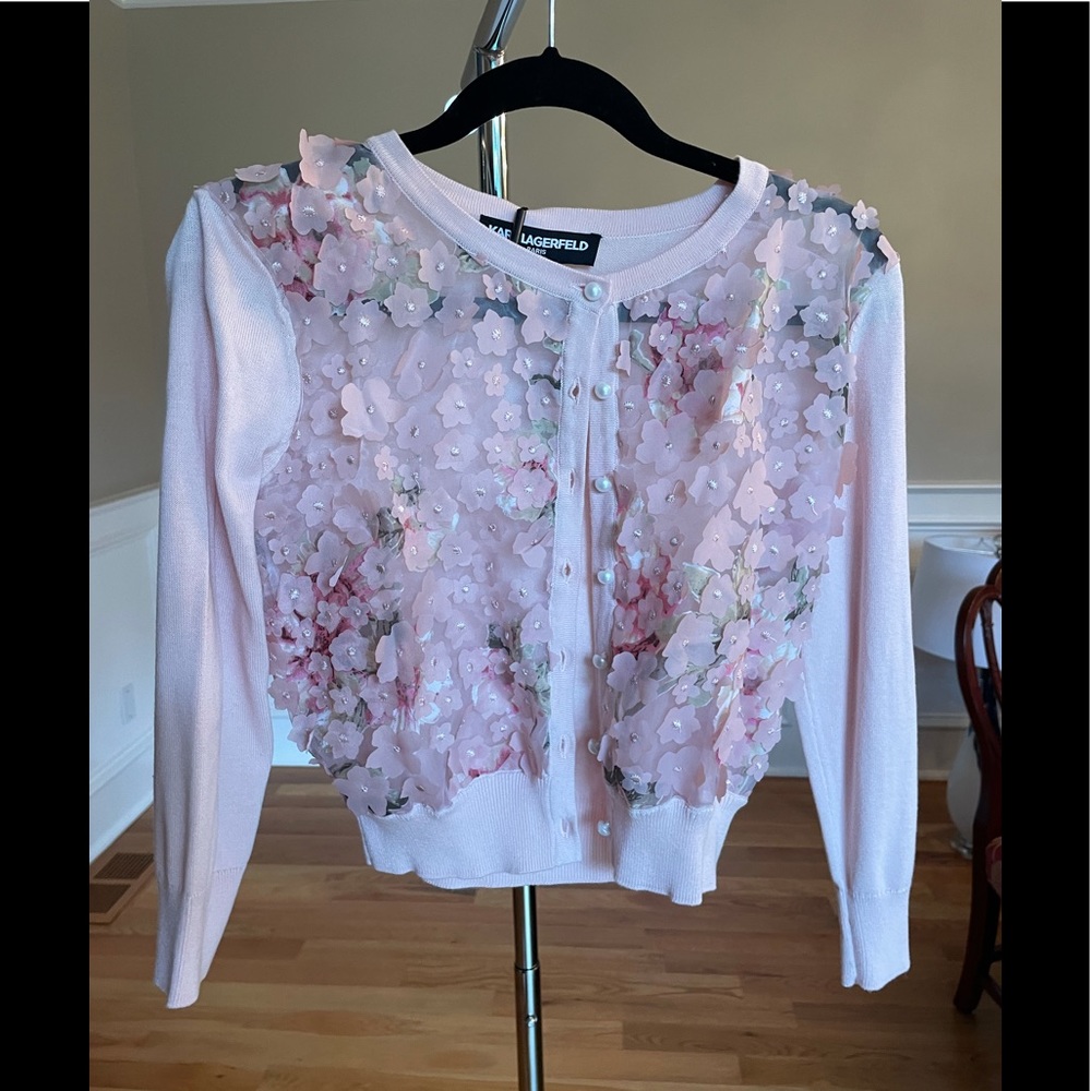 Karl Lagerfeld Sheer sweater